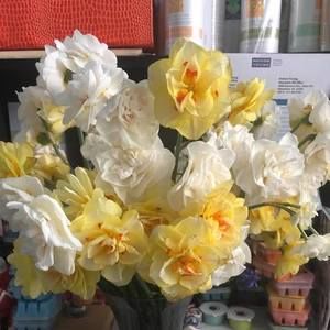 Meet your Posher, Anne